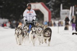 Lenzerheide 2013